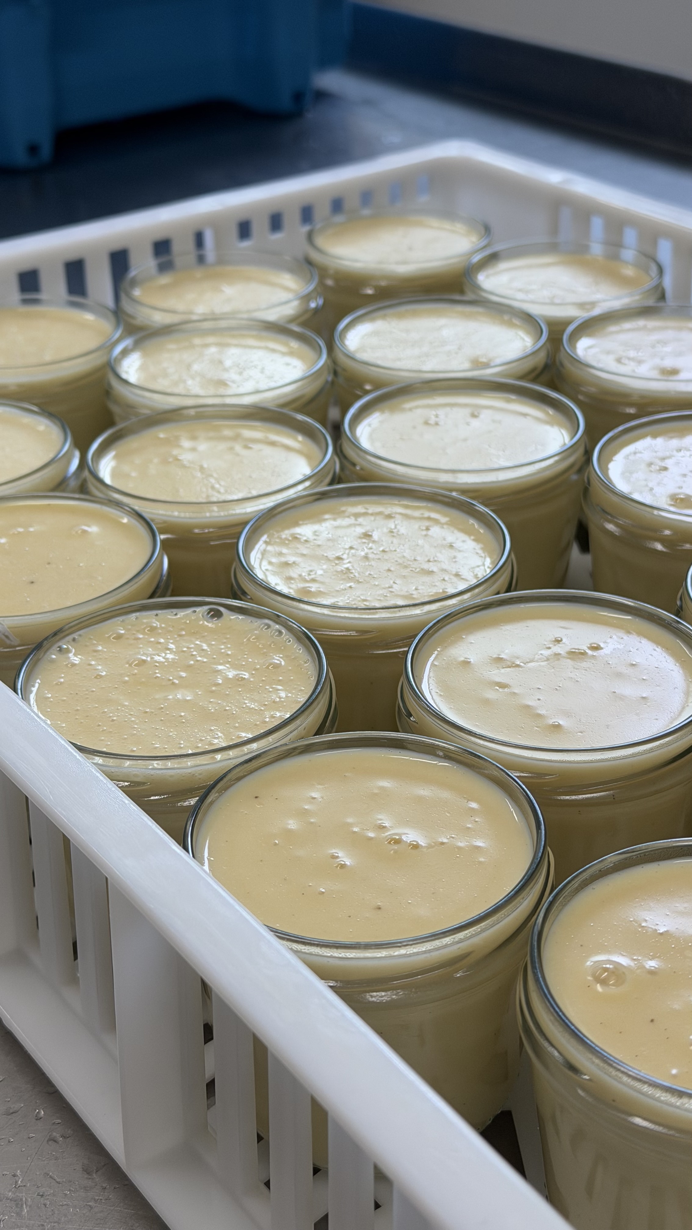 Crème vanille — Laiterie de Metz